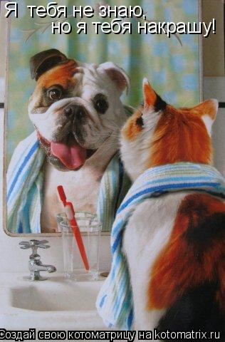Котоматрица: Я  тебя не знаю,  но я тебя накрашу!