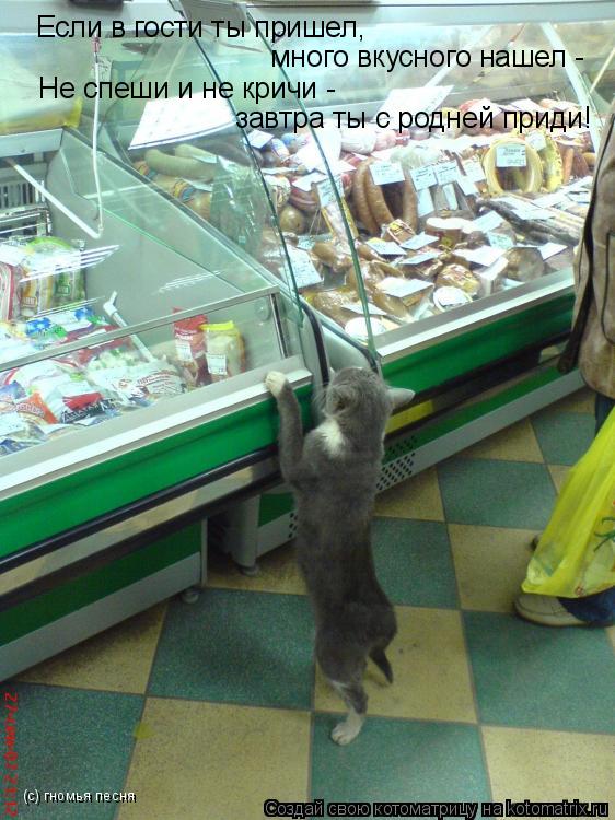 Котоматрица: Если в гости ты пришел,  много вкусного нашел - Не спеши и не кричи -  завтра ты с родней приди! (с) гномья песня
