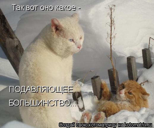Так вот оно какое - ПОДАВЛЯЮЩЕЕ БОЛЬШИНСТВО...... Котоматрица: Так вот оно какое - ПОДАВЛЯЮЩЕЕ БОЛЬШИНСТВО...