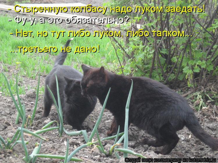 - Стыренную колбасу надо луком заедать! - Фу-у, а это обязательно? - Нет, но тут либо луком, либо тап... Котоматрица: - Стыренную колбасу надо луком заедать! - Фу-у, а это обязательно? - Нет, но тут либо луком, либо тапком... ...третьего не дано!
