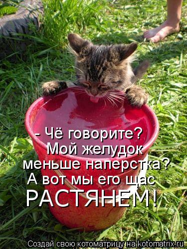 - Чё говорите? Мой желудок меньше наперстка? А вот мы его щас РАСТЯНЕМ!... Котоматрица: - Чё говорите? Мой желудок меньше наперстка? А вот мы его щас РАСТЯНЕМ!