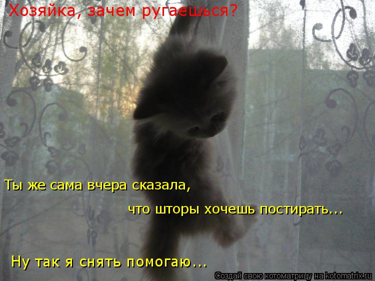 Котоматрица: Хозяйка, зачем ругаешься? Ты же сама вчера сказала,  что шторы хочешь постирать... Ну так я снять помогаю...