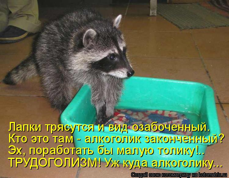 Лапки трясутся и вид озабоченный. Кто это там - алкоголик законченный? Эх, поработать бы малую толику... Котоматрица: Лапки трясутся и вид озабоченный. Кто это там - алкоголик законченный? Эх, поработать бы малую толику!.. ТРУДОГОЛИЗМ! Уж куда алкоголику...