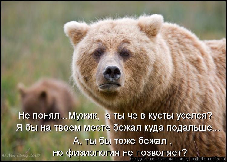 Не понял...Мужик, а ты че в кусты уселся? А, ты бы тоже бежал , но физиология не позволяет? Я бы н... Котоматрица: Не понял...Мужик, а ты че в кусты уселся? А, ты бы тоже бежал , но физиология не позволяет? Я бы на твоем месте бежал куда подальше...