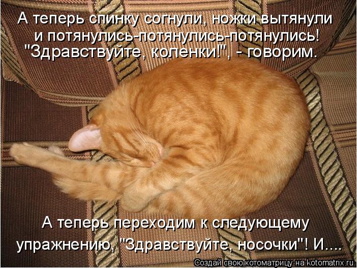 А теперь спинку согнули, ножки вытянули "Здравствуйте, коленки!", - говорим. А теперь переходим к с... Котоматрица: А теперь спинку согнули, ножки вытянули "Здравствуйте, коленки!", - говорим. А теперь переходим к следующему упражнению, "Здравствуйте, носо