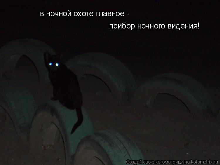 Котоматрица: в ночной охоте главное - прибор ночного видения!