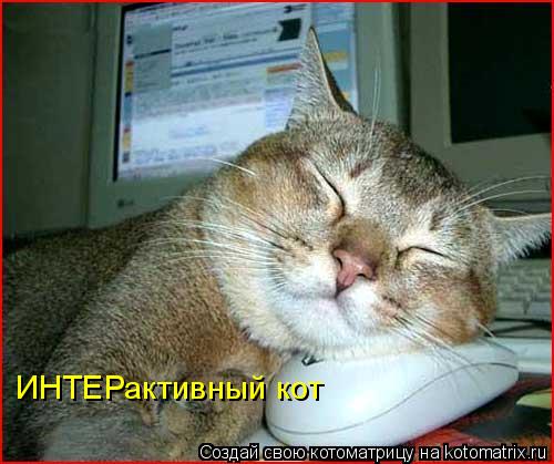 Котоматрица: ИНТЕРактивный кот