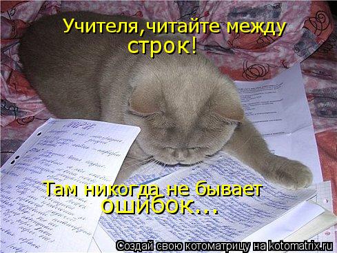 Котоматрица: Учителя,читайте между строк! Там никогда не бывает ошибок...