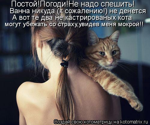 Постой!Погоди!Не надо спешить! Ванна никуда (к сожалению!) не денется А вот те два не кастрированых к... Котоматрица: Постой!Погоди!Не надо спешить! Ванна никуда (к сожалению!) не денется А вот те два не кастрированых кота могут убежать со страху,увидев меня