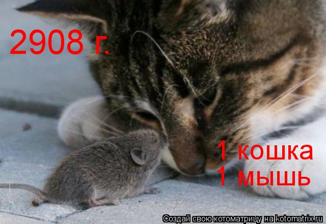 2908 г. 1 кошка 1 мышь... Котоматрица: 2908 г. 1 кошка 1 мышь