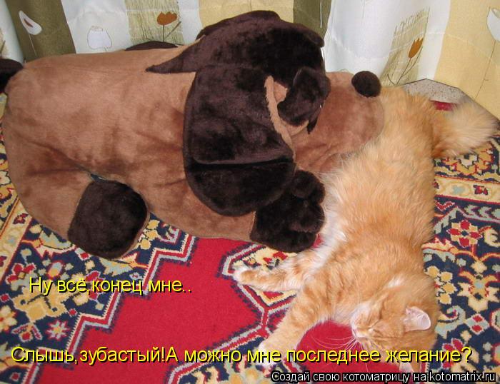 Котоматрица: Ну всё,конец мне.. Слышь,зубастый!А можно мне последнее желание?