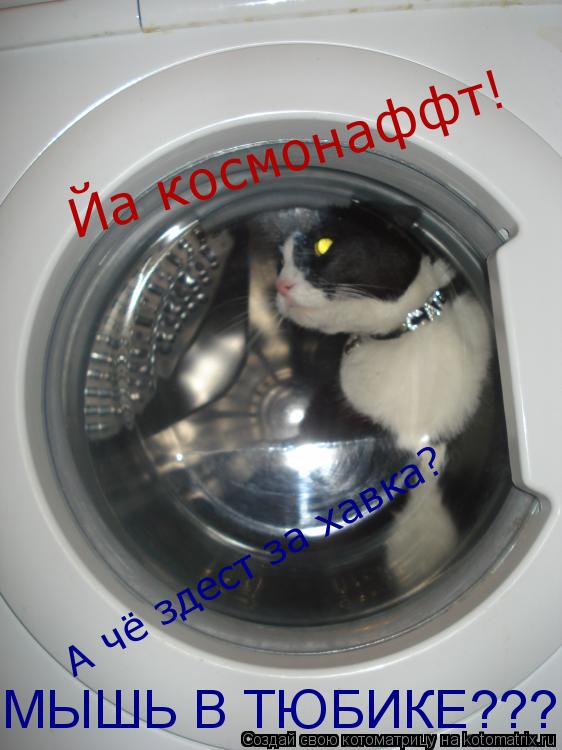 Котоматрица: Йа космонаффт! А чё здест за хавка? МЫШЬ В ТЮБИКЕ???