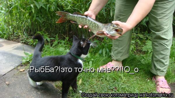 Котоматрица: -РыбБа?!это точно мне??!!О_о