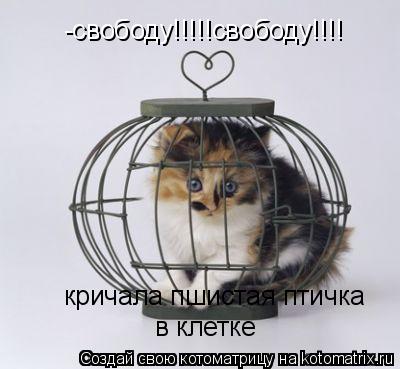 -свободу!!!!!свободу!!!! кричала пшистая птичка в клетке... Котоматрица: -свободу!!!!!свободу!!!! кричала пшистая птичка в клетке