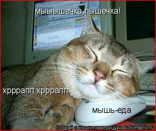 мыыышечка,пышечка! хрррапп.хрррапп. мышь-еда... Котоматрица: мыыышечка,пышечка! хрррапп.хрррапп. мышь-еда