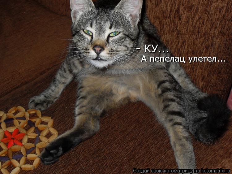 - КУ... А пепелац улетел...... Котоматрица: - КУ... А пепелац улетел...