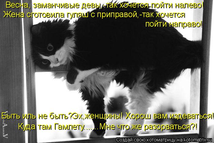 Жена сготовила гуляш с приправой,-так хочется Весна, заманчивые девы,-так хочется пойти налево! пойт... Котоматрица: Жена сготовила гуляш с приправой,-так хочется Весна, заманчивые девы,-так хочется пойти налево! пойти направо! Быть иль не быть?Эх,женщины! Х