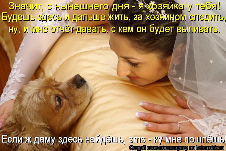 Значит, с нынешнего дня - я хозяйка у тебя! Будешь здесь и дальше жить, за хозяином следить, ну, и мн... Котоматрица: Значит, с нынешнего дня - я хозяйка у тебя! Будешь здесь и дальше жить, за хозяином следить, ну, и мне отчёт давать: с кем он будет выпивать. Есл