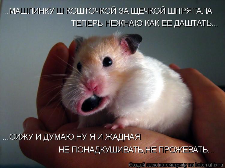 ...МАШЛИНКУ Ш КОШТОЧКОЙ ЗА ЩЕЧКОЙ ШПРЯТАЛА ...СИЖУ И ДУМАЮ,НУ Я И ЖАДНАЯ НЕ ПОНАДКУШИВАТЬ,НЕ ПРОЖЕВАТ... Котоматрица: ...МАШЛИНКУ Ш КОШТОЧКОЙ ЗА ЩЕЧКОЙ ШПРЯТАЛА ...СИЖУ И ДУМАЮ,НУ Я И ЖАДНАЯ НЕ ПОНАДКУШИВАТЬ,НЕ ПРОЖЕВАТЬ... ТЕПЕРЬ НЕЖНАЮ КАК ЕЕ ДАШТАТЬ...