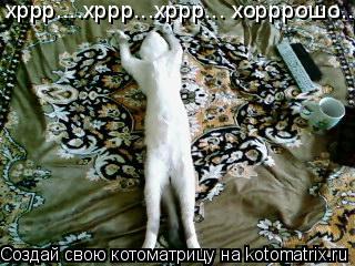 Котоматрица: хррр....хррр...хррр... хорррошо...