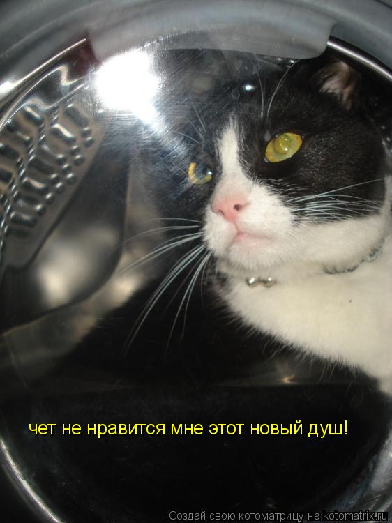 Котоматрица: чет не нравится мне этот новый душ!