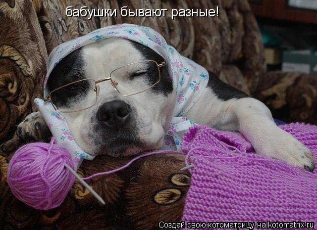 Котоматрица: бабушки бывают разные!