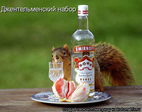 Котоматрица: Джентельменский набор