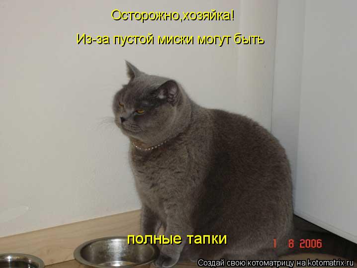 Котоматрица: Осторожно,хозяйка! Из-за пустой миски могут быть полные тапки