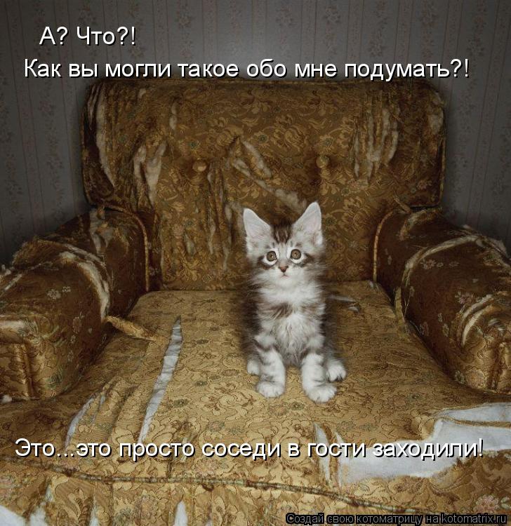 Котоматрица: А? Что?! Как вы могли такое обо мне подумать?! Это...это просто соседи в гости заходили!