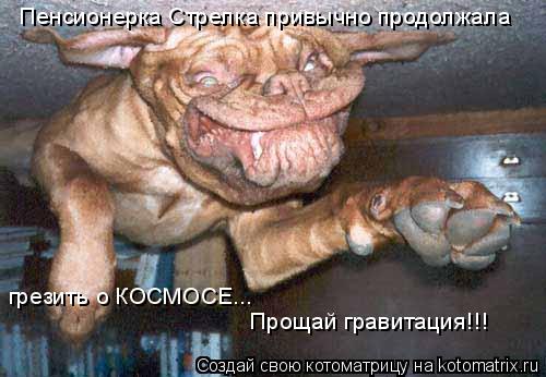 Котоматрица: Пенсионерка Стрелка привычно продолжала грезить о КОСМОСЕ... Прощай гравитация!!!