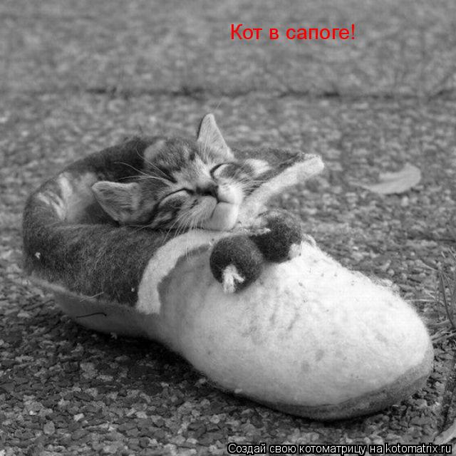 Котоматрица: Кот в сапоге!