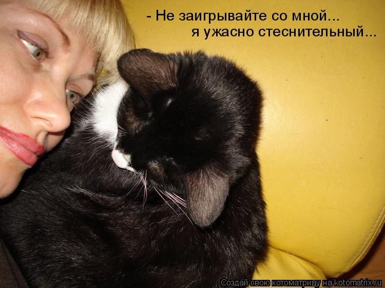 Котоматрица: - Не заигрывайте со мной... я ужасно стеснительный...