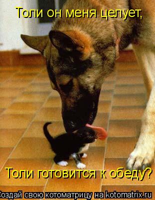 Котоматрица: Толи он меня целует, Толи готовится к обеду?