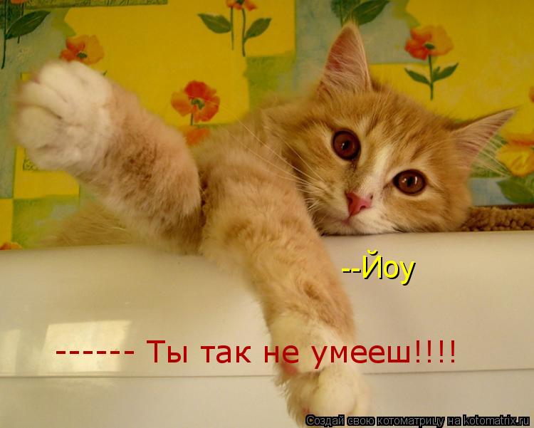 --Йоу ------ Ты так не умееш!!!!... Котоматрица: --Йоу ------ Ты так не умееш!!!!