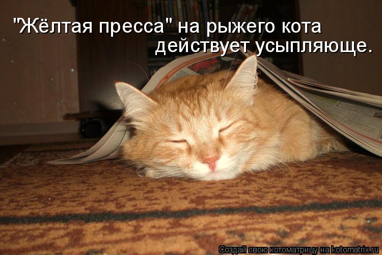 Котоматрица: "Жёлтая пресса" на рыжего кота  действует усыпляюще.