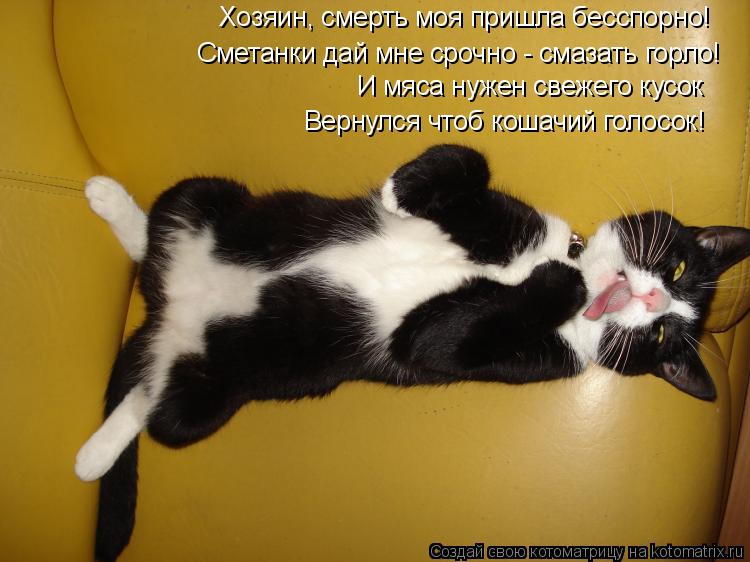Сметанки дай мне срочно - смазать горло! И мяса нужен свежего кусок Хозяин, смерть моя пришла бесспор... Котоматрица: Сметанки дай мне срочно - смазать горло! И мяса нужен свежего кусок Хозяин, смерть моя пришла бесспорно! Вернулся чтоб кошачий голосок!