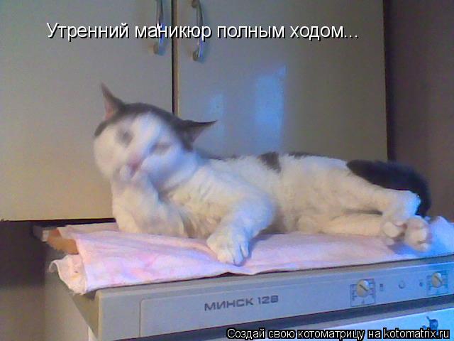 Котоматрица: Утренний маникюр полным ходом...