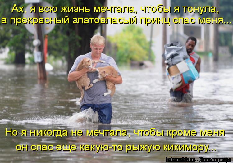 Ах, я всю жизнь мечтала, чтобы я тонула, а прекрасный златовласый принц спас меня... Но я никогда н... Котоматрица: Ах, я всю жизнь мечтала, чтобы я тонула, а прекрасный златовласый принц спас меня... Но я никогда не мечтала, чтобы кроме меня он спас еще как