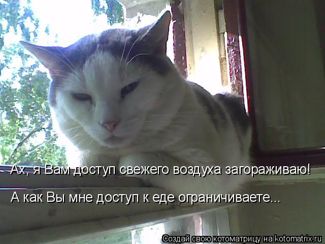 Ах, я Вам доступ свежего воздуха загораживаю! А как Вы мне доступ к еде ограничиваете...... Котоматрица: Ах, я Вам доступ свежего воздуха загораживаю! А как Вы мне доступ к еде ограничиваете...