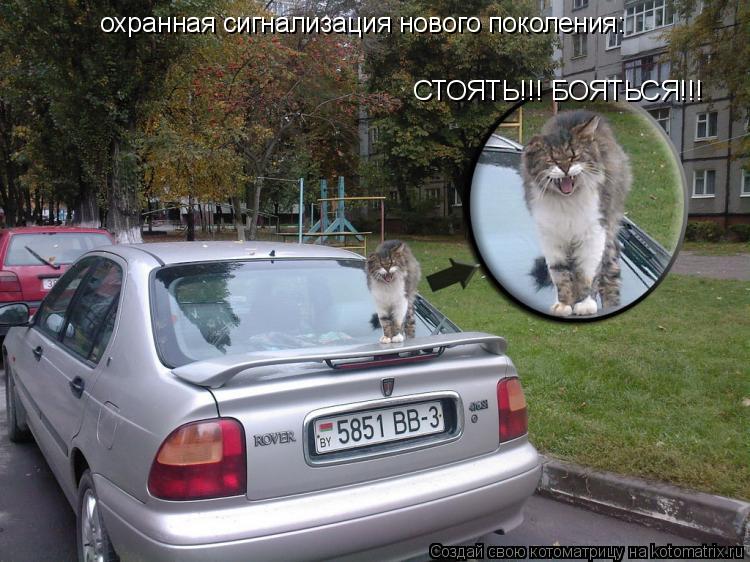 охранная сигнализация нового поколения: СТОЯТЬ!!! БОЯТЬСЯ!!!... Котоматрица: охранная сигнализация нового поколения: СТОЯТЬ!!! БОЯТЬСЯ!!!