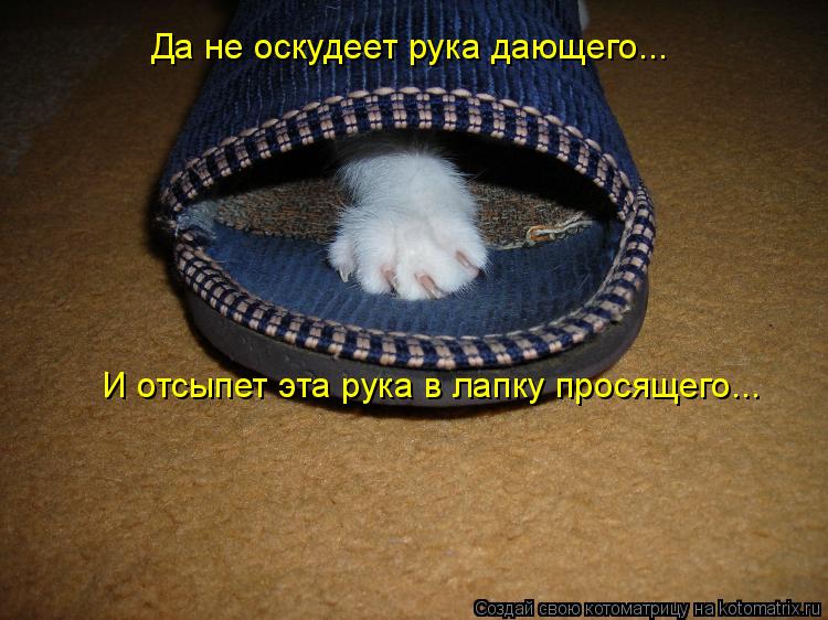 Да не оскудеет рука дающего... И отсыпет эта рука в лапку просящего...... Котоматрица: Да не оскудеет рука дающего... И отсыпет эта рука в лапку просящего...
