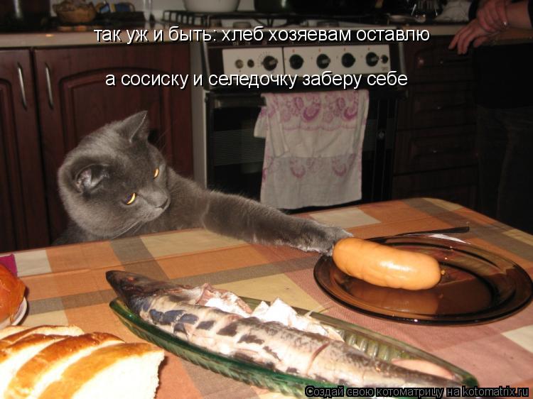 Котоматрица: так уж и быть: хлеб хозяевам оставлю а сосиску и селедочку заберу себе