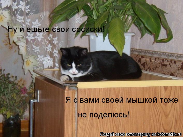 Котоматрица: Ну и ешьте свои сосиски! Я с вами своей мышкой тоже  не поделюсь !