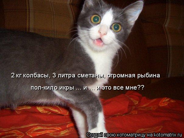 Котоматрица: 2 кг колбасы, 3 литра сметаны, огромная рыбина пол-кило икры ... и ... и это все мне??