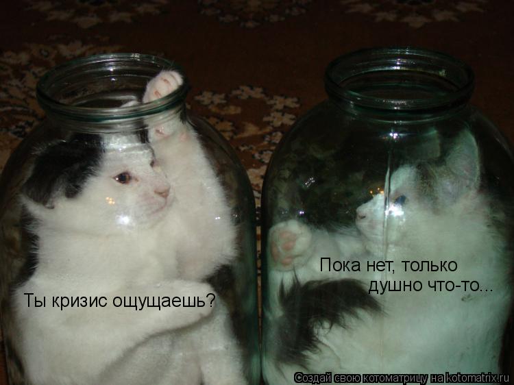 Котоматрица: Ты кризис ощущаешь? Пока нет, только  душно что-то...