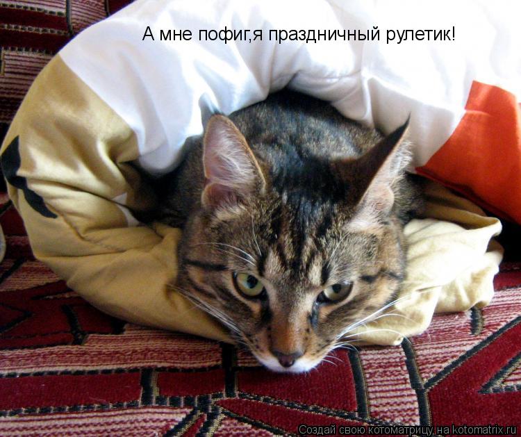 Котоматрица: А мне пофиг,я праздничный рулетик!