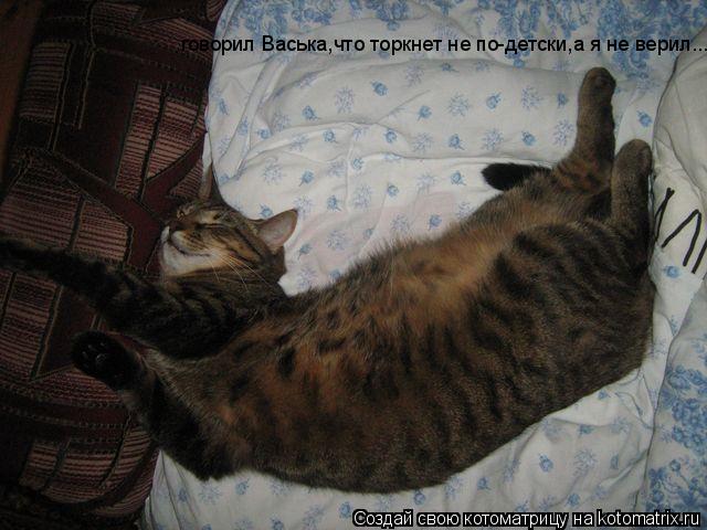 Котоматрица: говорил Васька,что торкнет не по-детски,а я не верил...