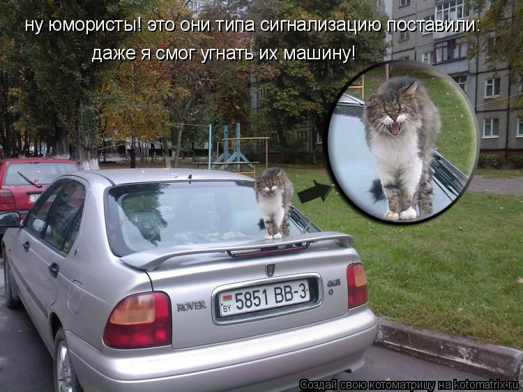 Котоматрица: ну юмористы! это они типа сигнализацию поставили: даже я смог угнать их машину!