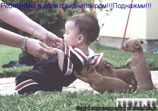 Котоматрица: Ребят!!!Мы в доле с киднеппером!!!Поднажми!!!