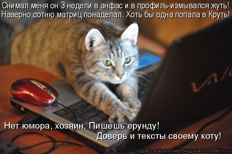 Нет юмора, хозяин. Пишешь ерунду! Доверь и тексты своему коту! Снимал меня он 3 недели в анфас и в пр... Котоматрица: Нет юмора, хозяин. Пишешь ерунду! Доверь и тексты своему коту! Снимал меня он 3 недели в анфас и в профиль-измывался жуть! Наверно,сотню матри